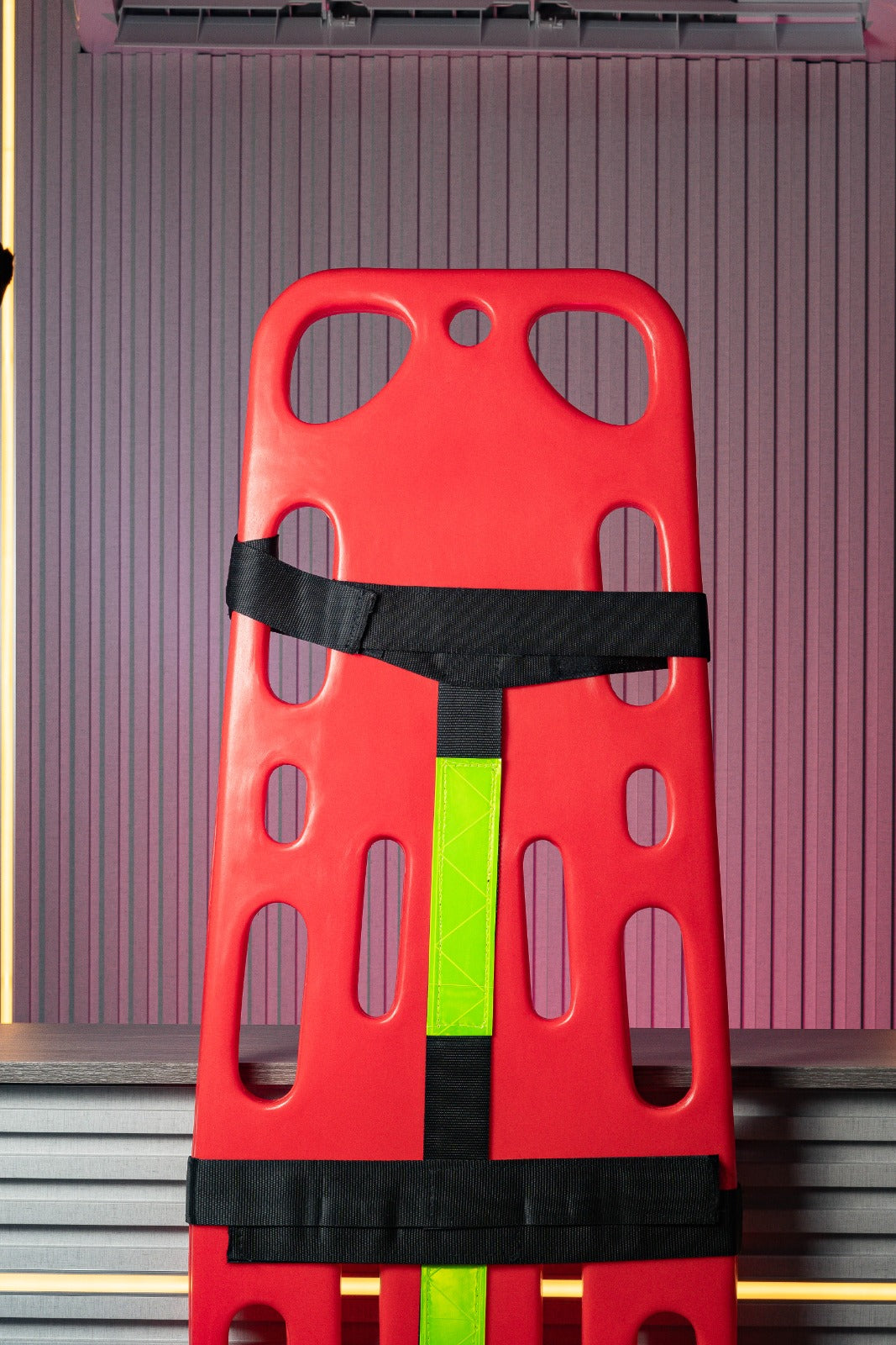 CAMILLA INMOVILIZADORA